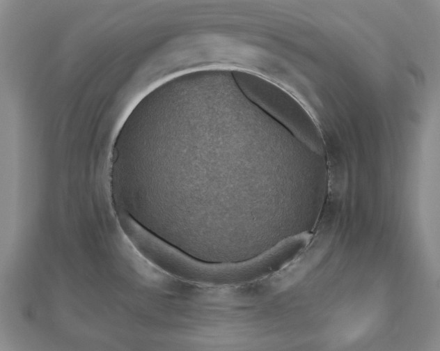 X0000112471532200908241222