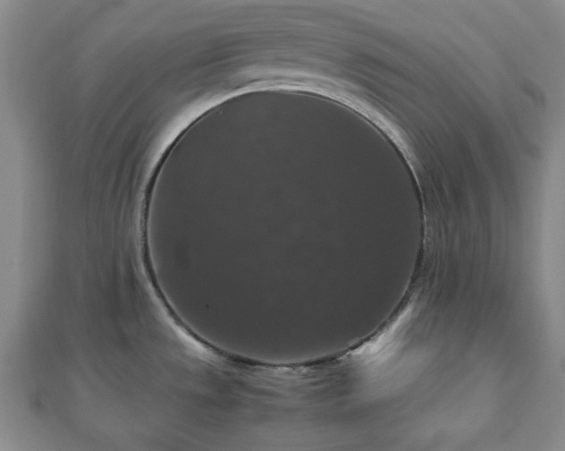 X0000112471533200908241222