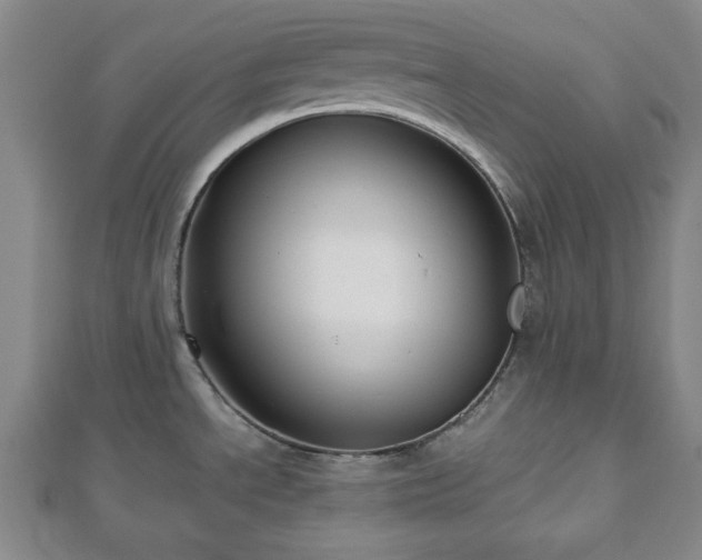 X0000112471534200908241222