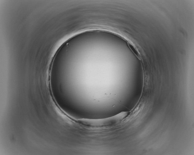 X0000112471535200908241222