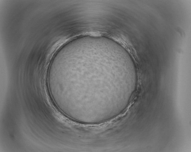 X0000112470001200908311359