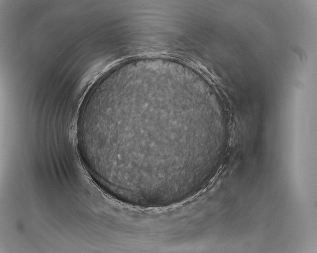 X0000112470002200908311359