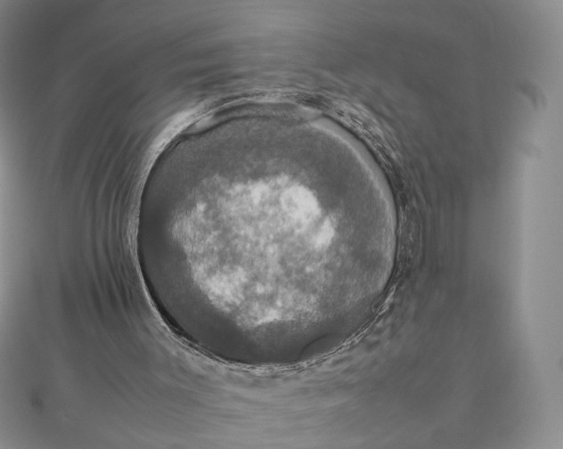 X0000112470003200908311359