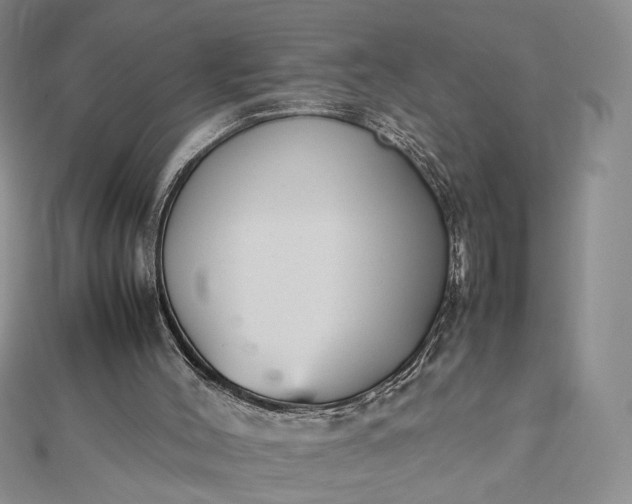 X0000112470004200908311359