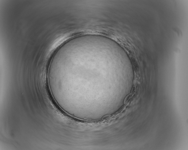 X0000112470005200908311359