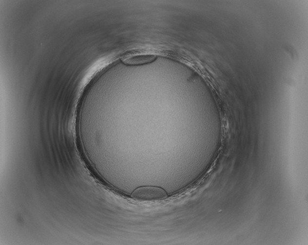 X0000112470006200908311359