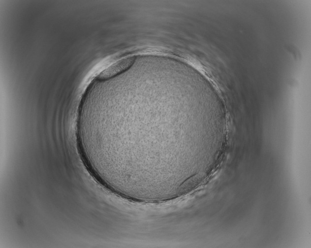 X0000112470007200908311359