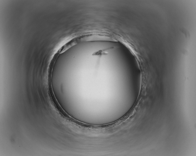 X0000112470008200908311359