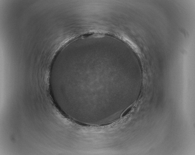 X0000112470009200908311359