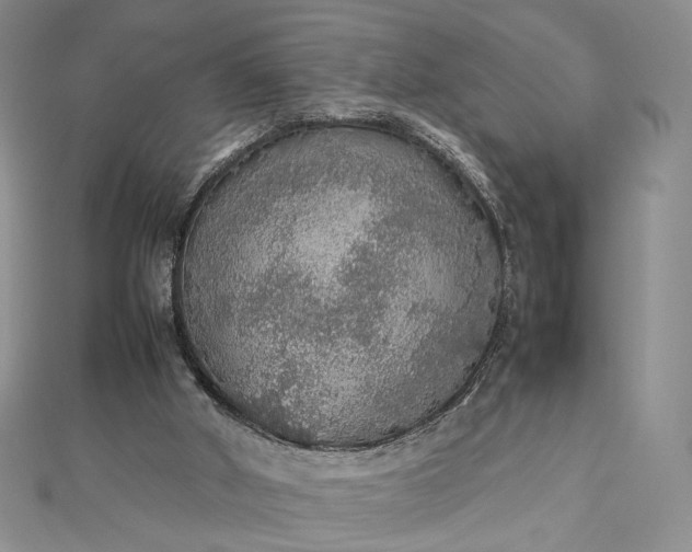 X0000112470010200908311359