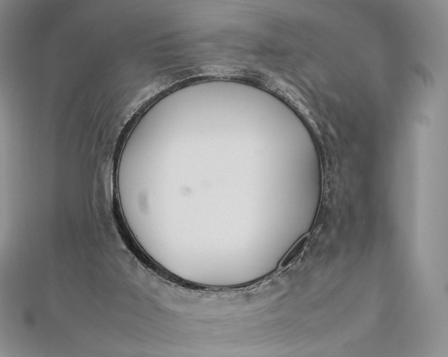 X0000112470011200908311359