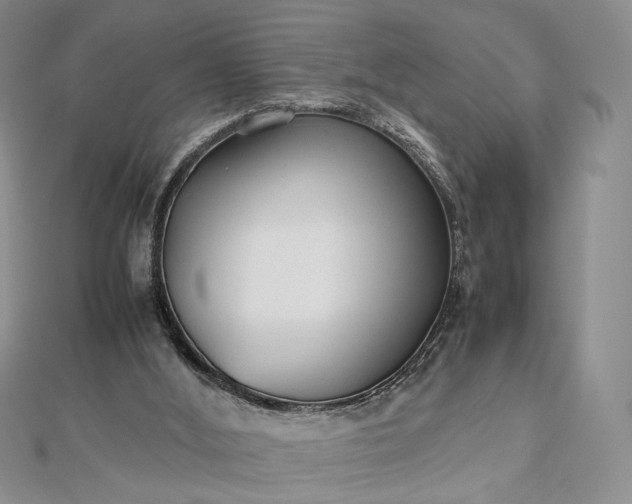 X0000112470012200908311359