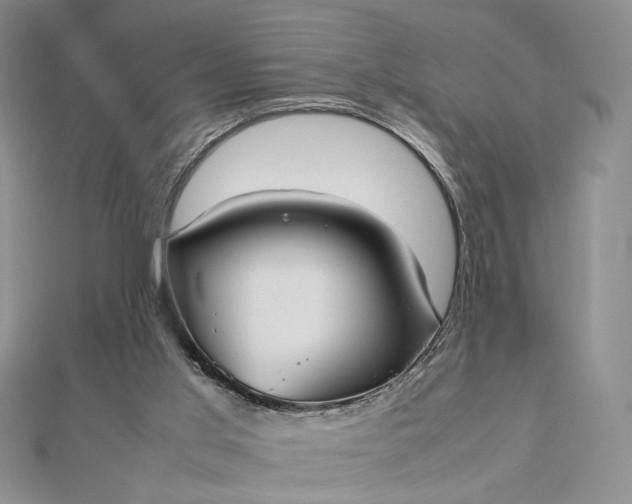 X0000112470013200908311359