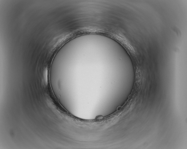 X0000112470014200908311359