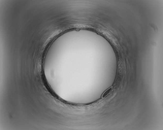 X0000112470015200908311359