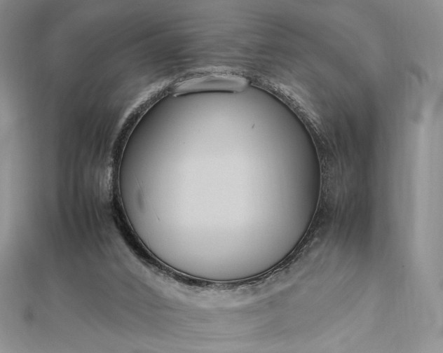 X0000112470016200908311359