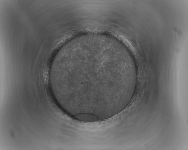 X0000112470017200908311359