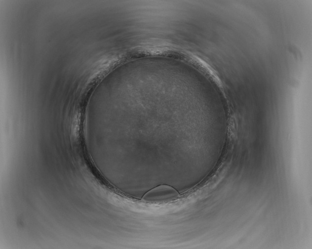 X0000112470018200908311359