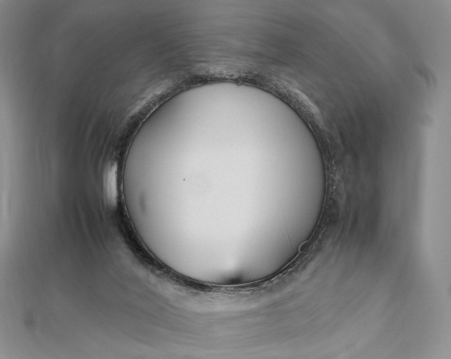 X0000112470020200908311359