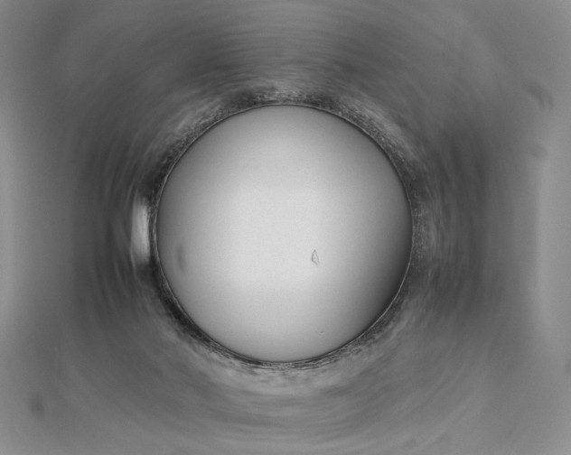 X0000112470022200908311359