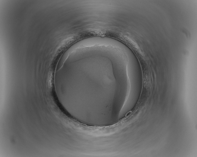 X0000112470023200908311359