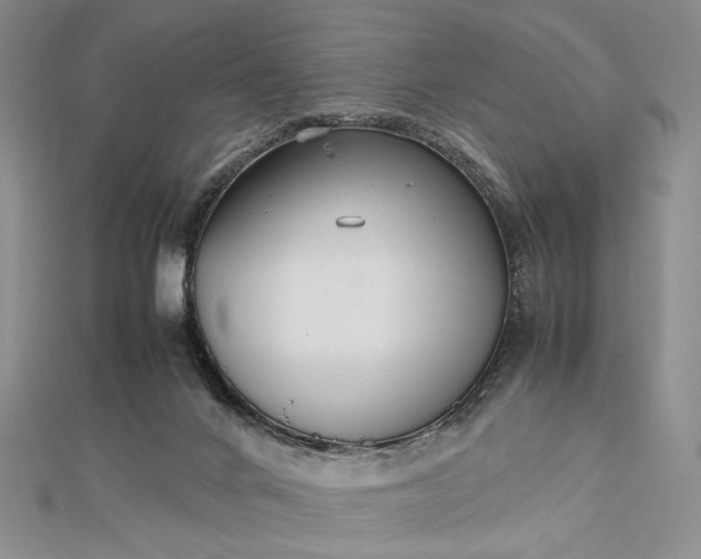 X0000112470024200908311359