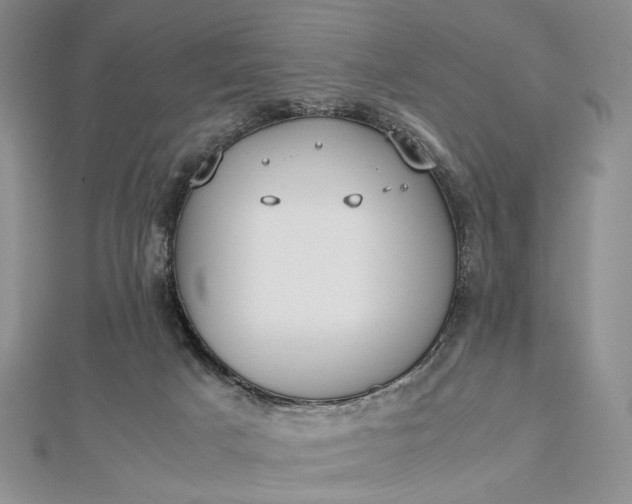 X0000112470025200908311359