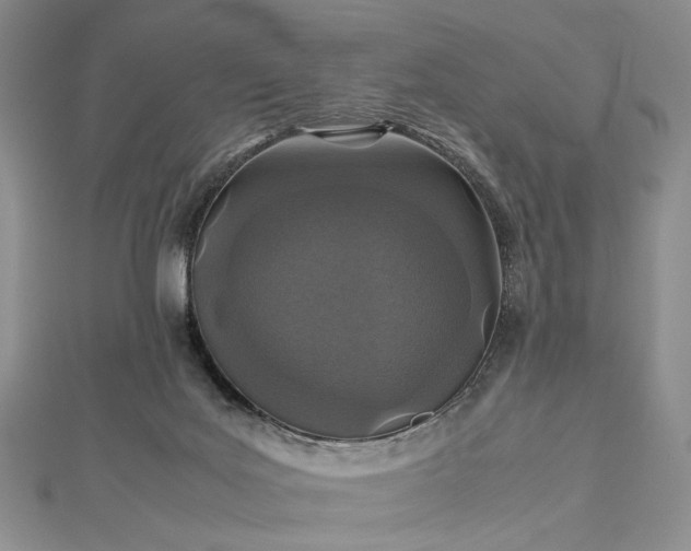 X0000112470027200908311359