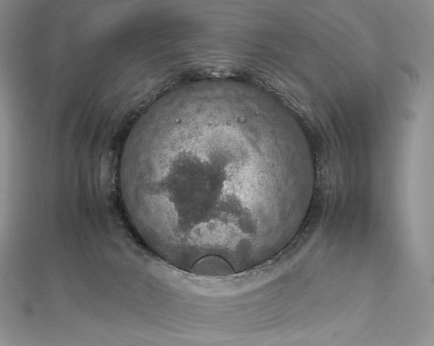 X0000112470030200908311359