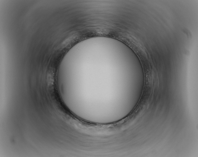 X0000112470032200908311359