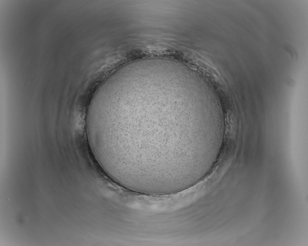 X0000112470033200908311359