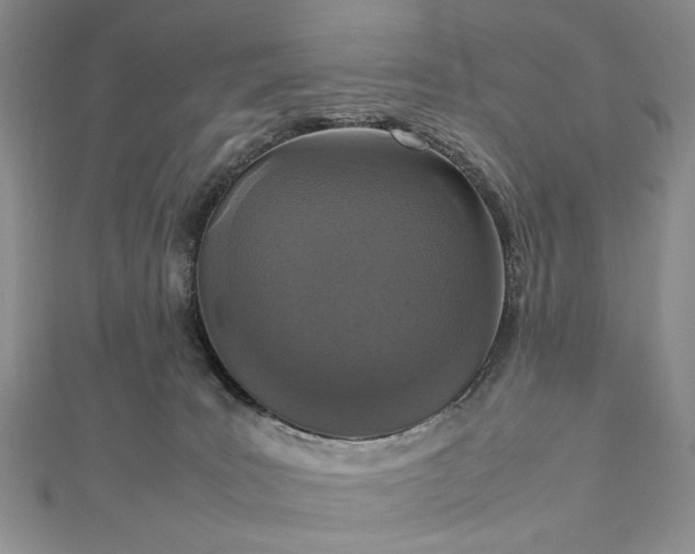 X0000112470035200908311359