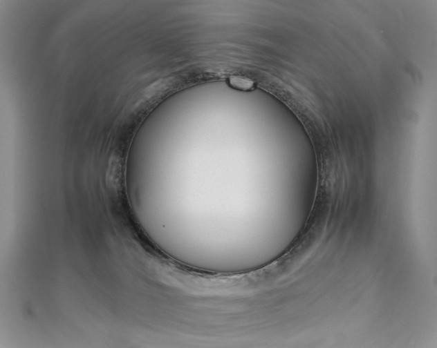 X0000112470036200908311359