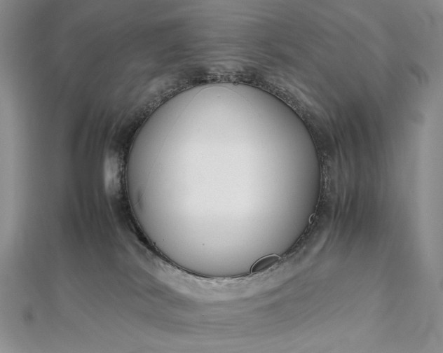 X0000112470038200908311359