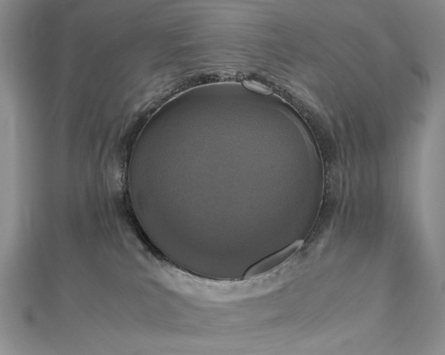 X0000112470039200908311359