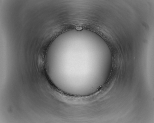 X0000112470040200908311359