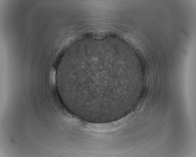 X0000112470041200908311359