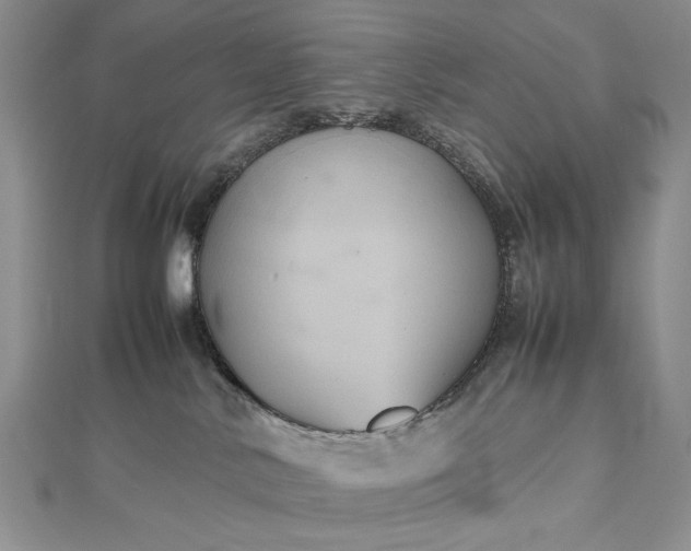 X0000112470042200908311359