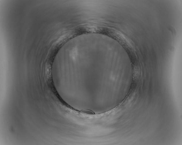 X0000112470043200908311359