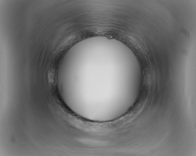 X0000112470044200908311359