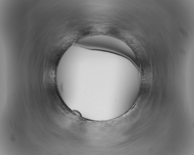 X0000112470045200908311359