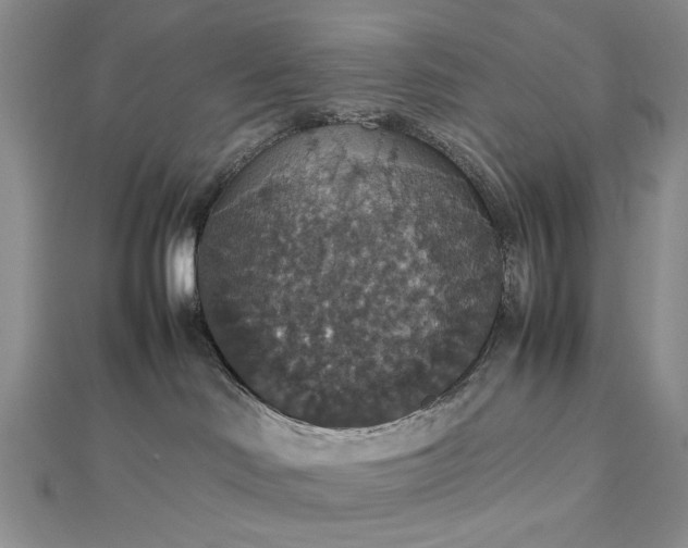 X0000112470046200908311359