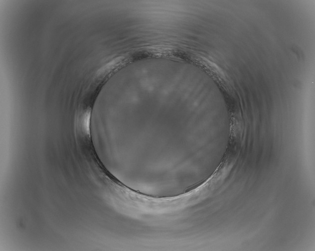 X0000112470047200908311359