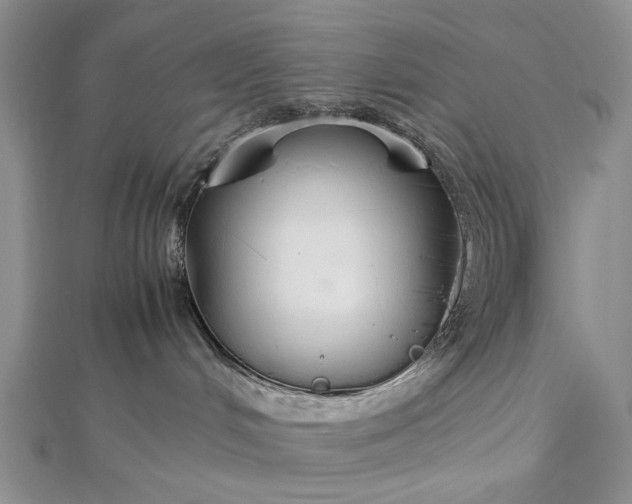 X0000112470048200908311359