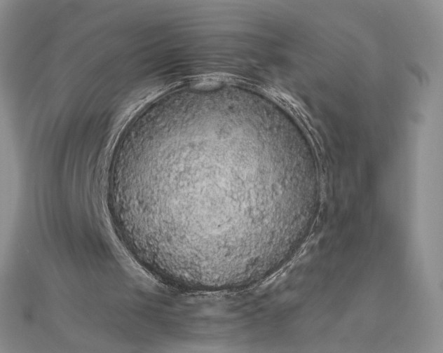 X0000112470049200908311358