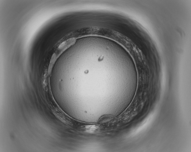 X0000112470050200908311358