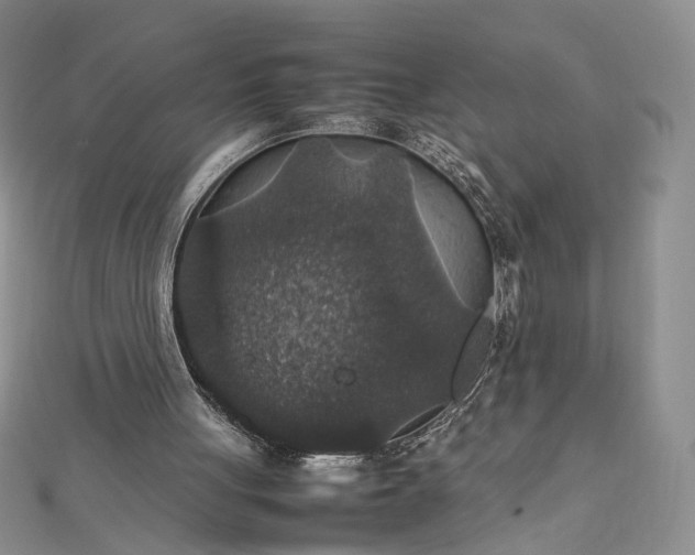 X0000112470051200908311358