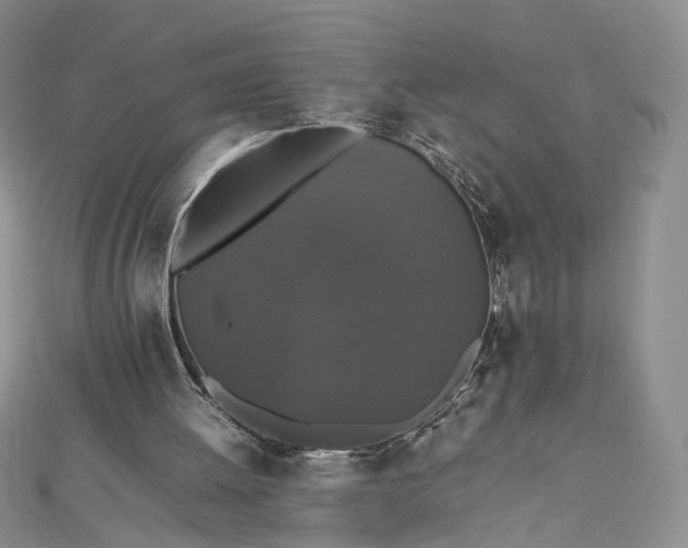 X0000112470052200908311358