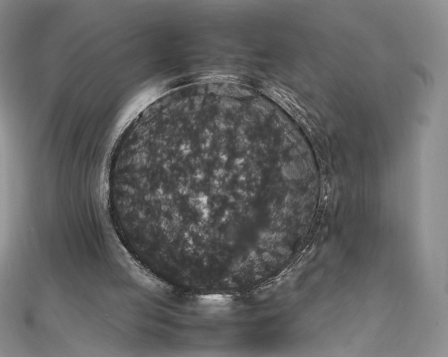 X0000112470053200908311358