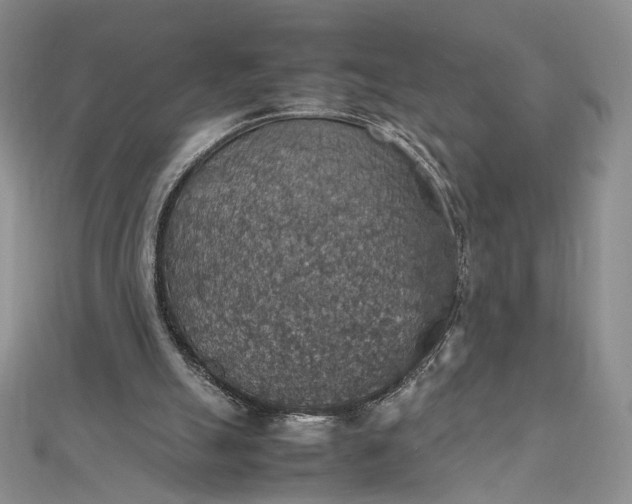 X0000112470055200908311358